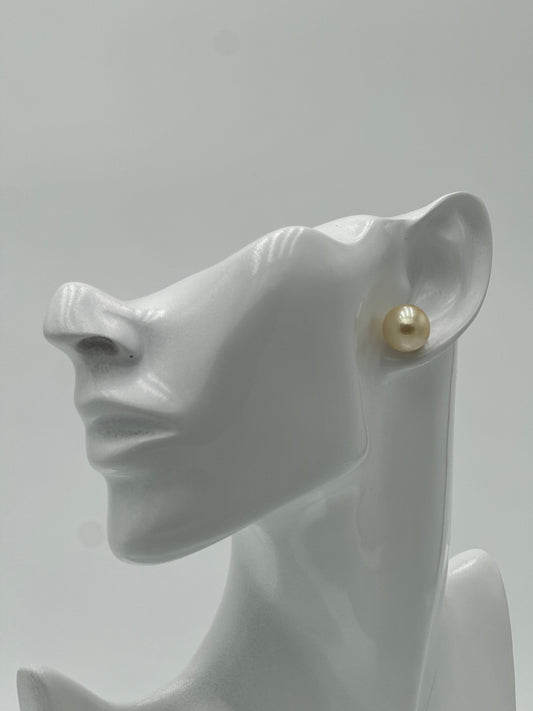 Ohrstecker Südsee