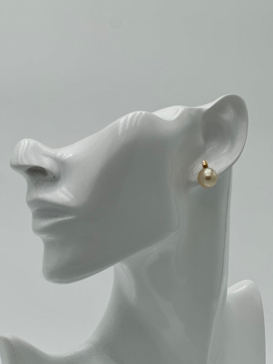 Ohrstecker Südsee