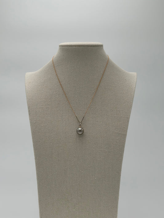 Y-Collier Fly